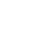 Safari Icon
