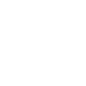 Safari Lion Icon