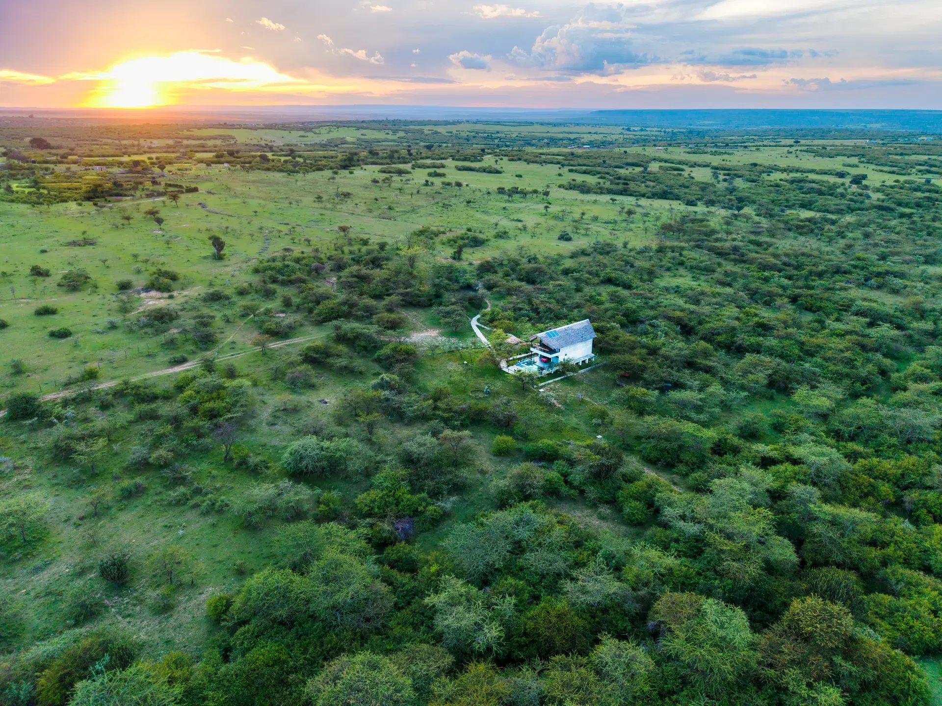Christmas Family Safari