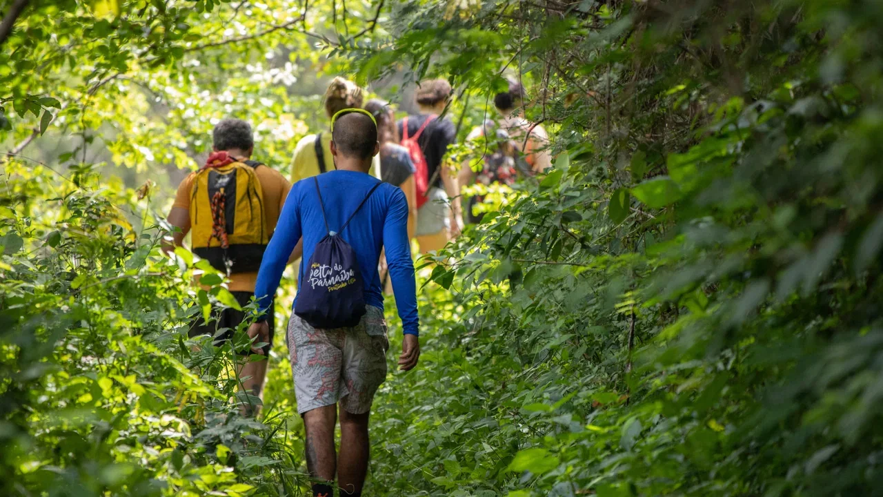 Bush Walks
