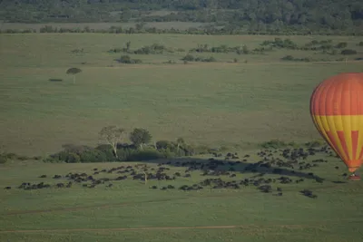 Hot Air Balloon Safari