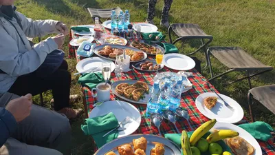 Picnic in the Park