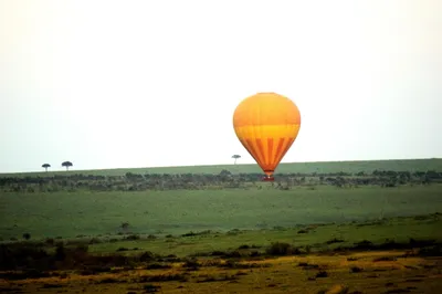 Hot Air Balloon Safari